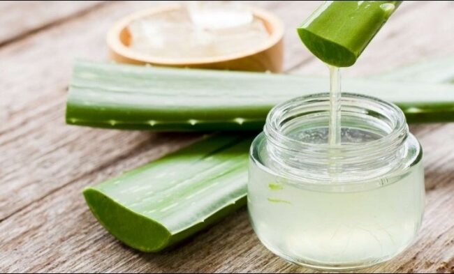 photo-1762868281676-1762868281998291655865