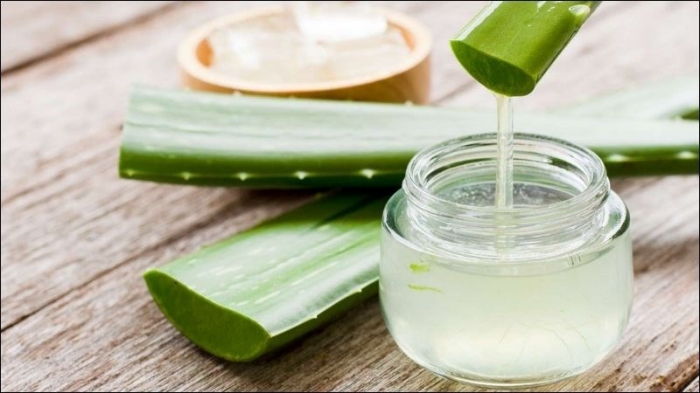 photo-1762868281676-1762868281998291655865