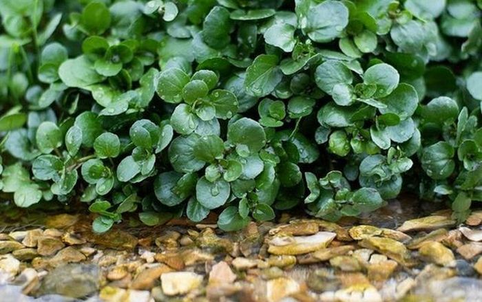 eb81999e14d7fd89a4c6